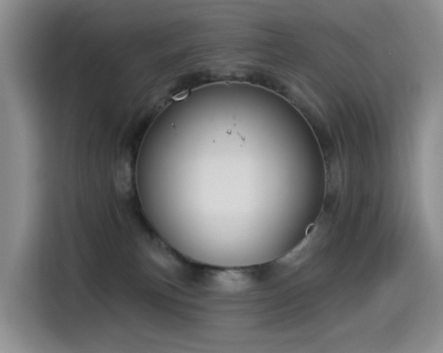X0000114550183200910191419