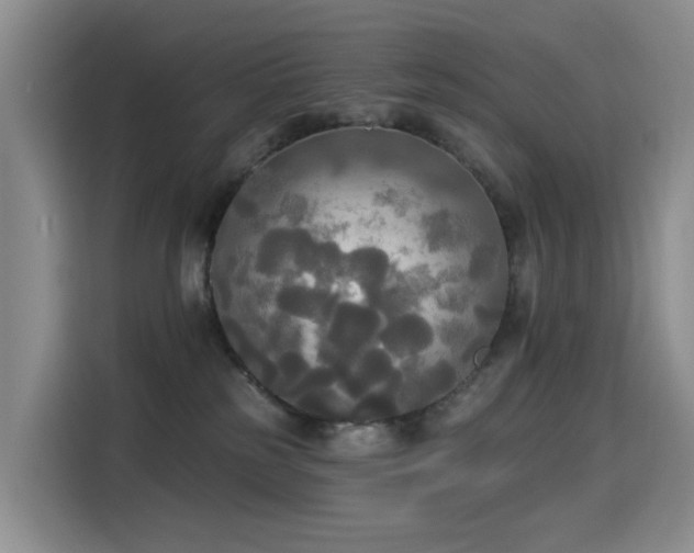 X0000114550185200910191419