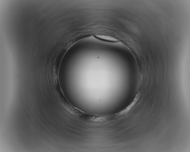 X0000114550186200910191419