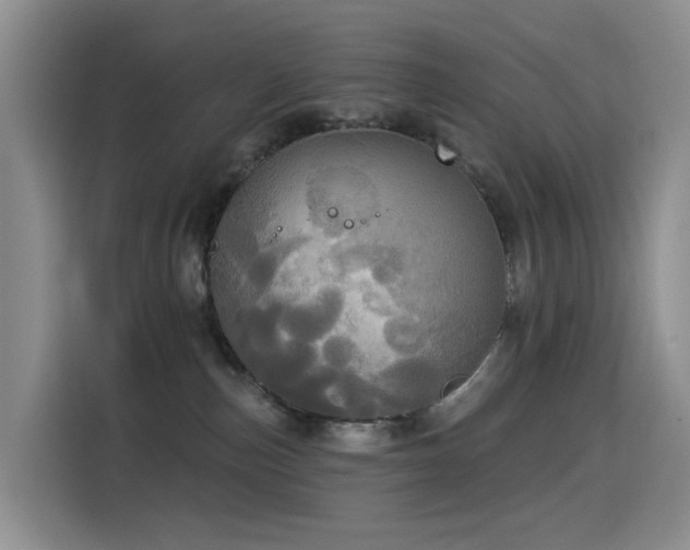 X0000114550187200910191419