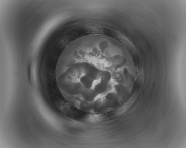 X0000114550189200910191419