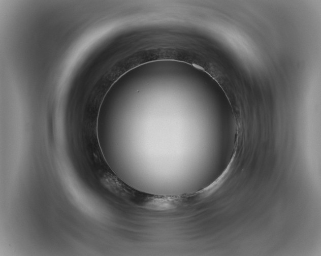 X0000114550190200910191419