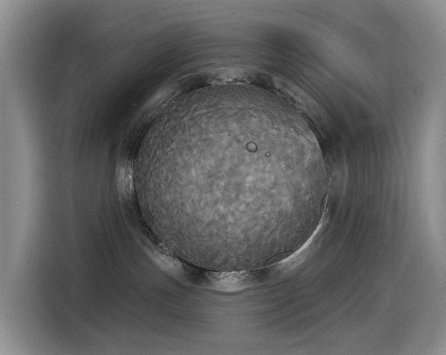 X0000114550191200910191419
