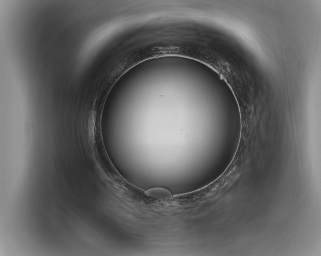 X0000114550194200910191418