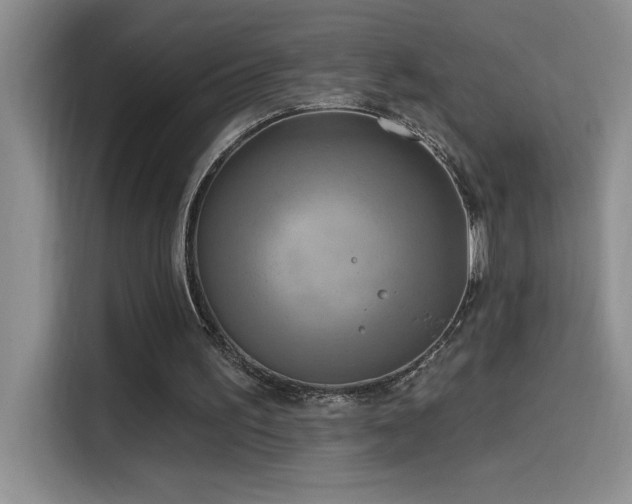 X0000114550195200910191418
