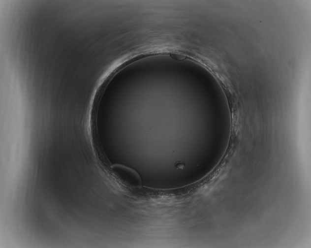 X0000114550196200910191418