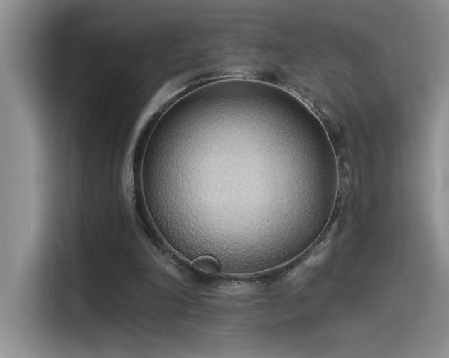 X0000114550198200910191418