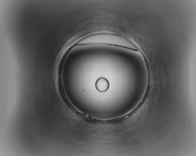 X0000114550199200910191418