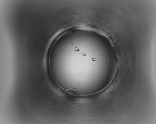 X0000114550200200910191418