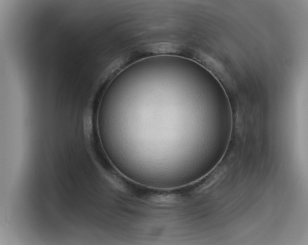 X0000114550202200910191418