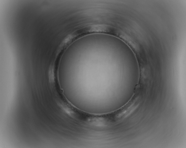 X0000114550203200910191418