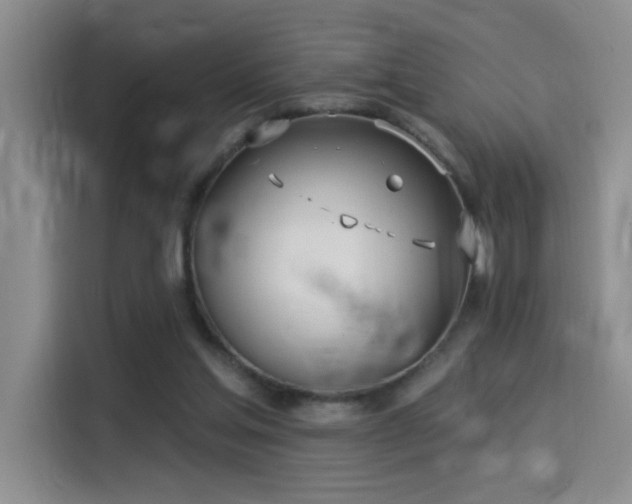 X0000114550205200910191418