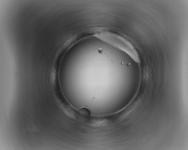 X0000114550206200910191418
