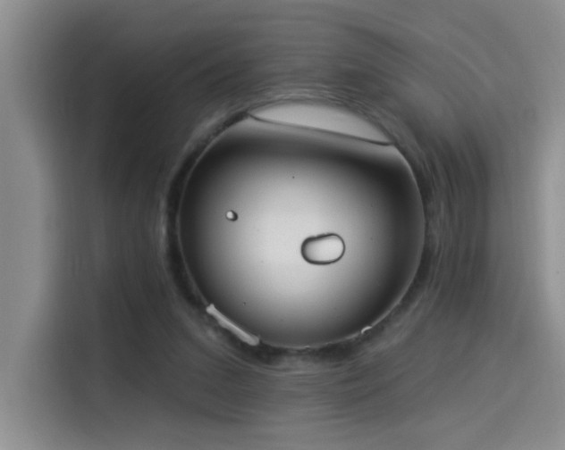 X0000114550207200910191418