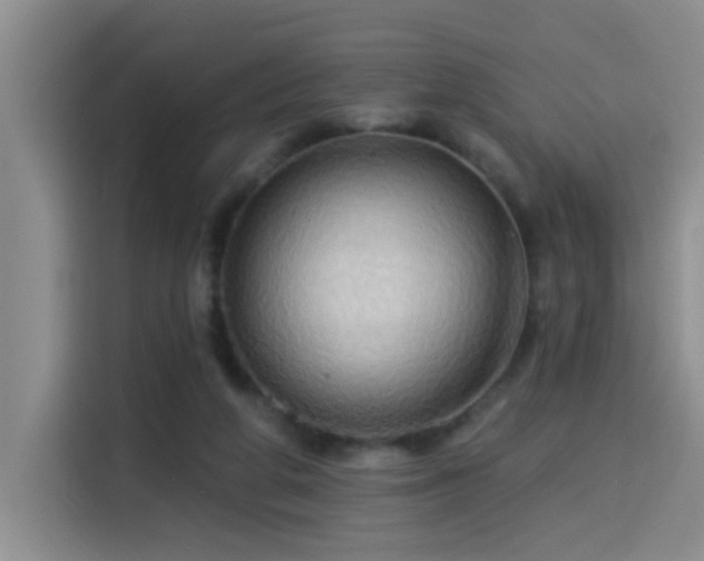 X0000114550210200910191418