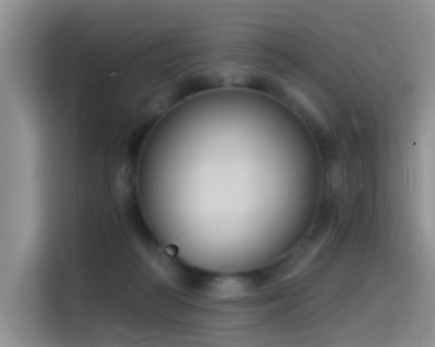 X0000114550218200910191418