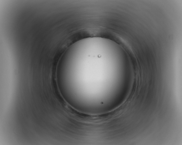 X0000114550221200910191418