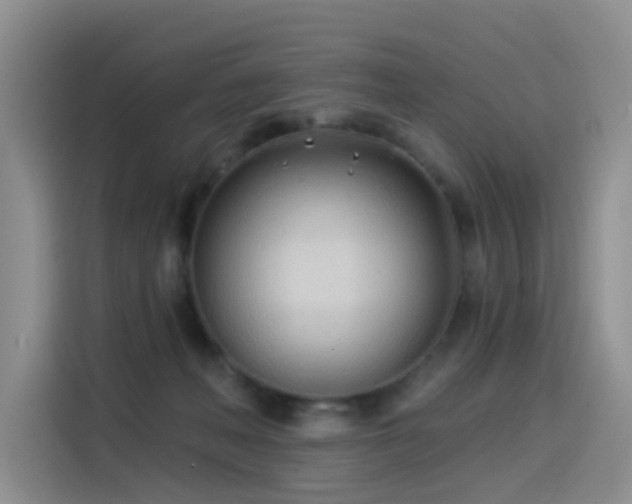 X0000114550222200910191418