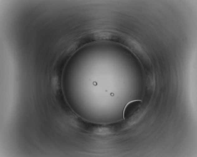 X0000114550224200910191418