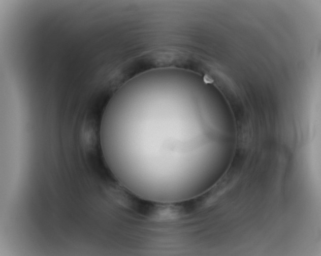 X0000114550226200910191418