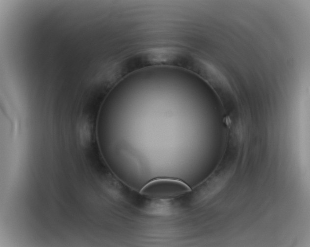 X0000114550227200910191418