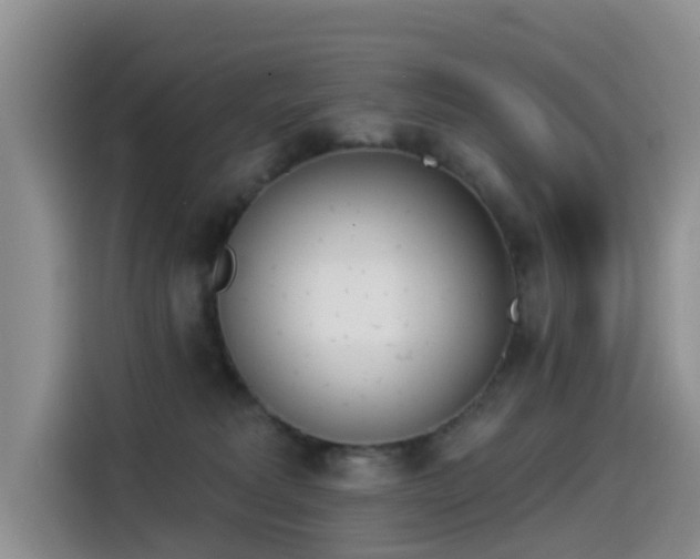 X0000114550229200910191418