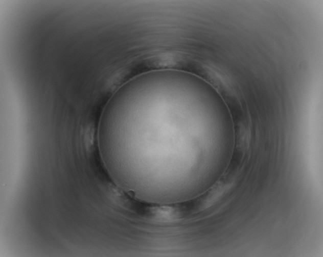 X0000114550230200910191418