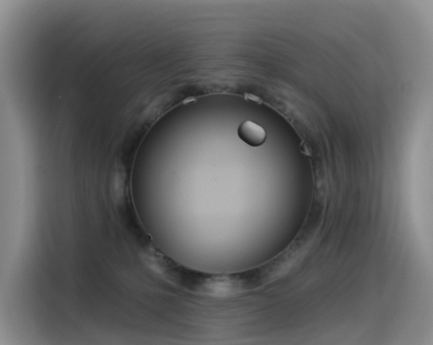 X0000114550231200910191418