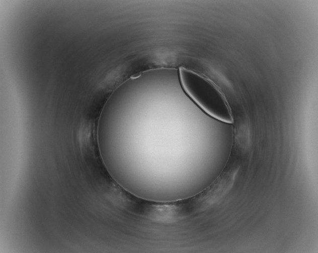 X0000114550233200910191417