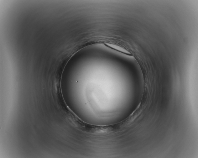 X0000114550235200910191417