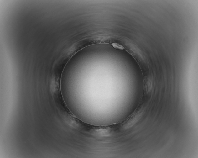 X0000114550236200910191417