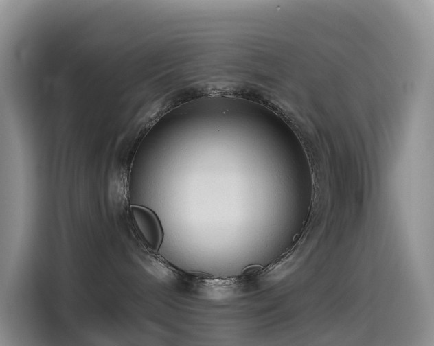 X0000114550240200910191417