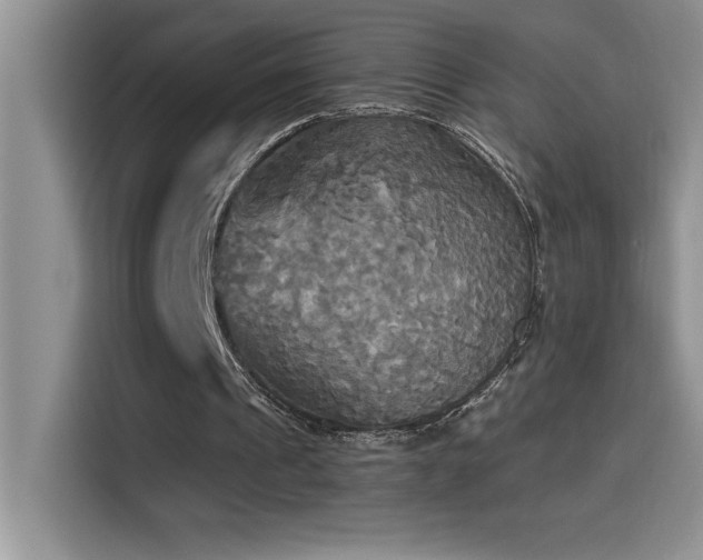 X0000114550241200910191417