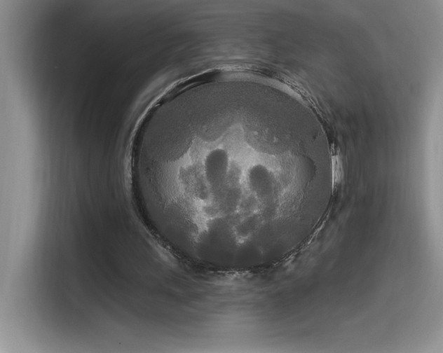 X0000114550243200910191417
