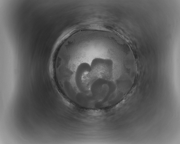 X0000114550245200910191417