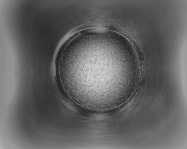 X0000114550246200910191417