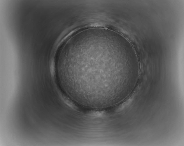 X0000114550247200910191417