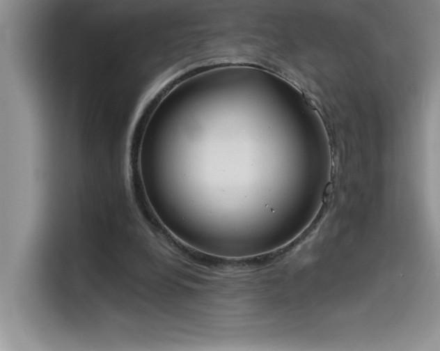 X0000114550248200910191417