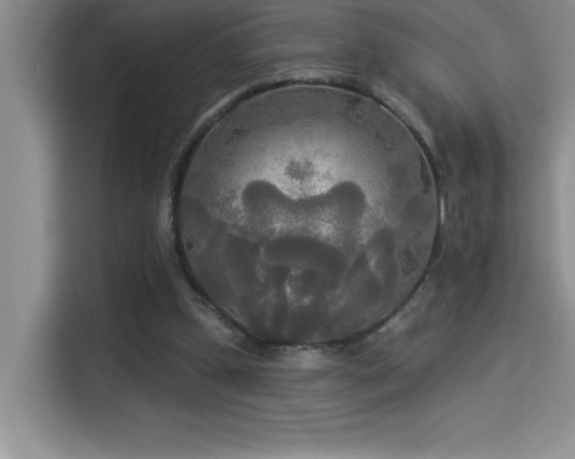 X0000114550249200910191417