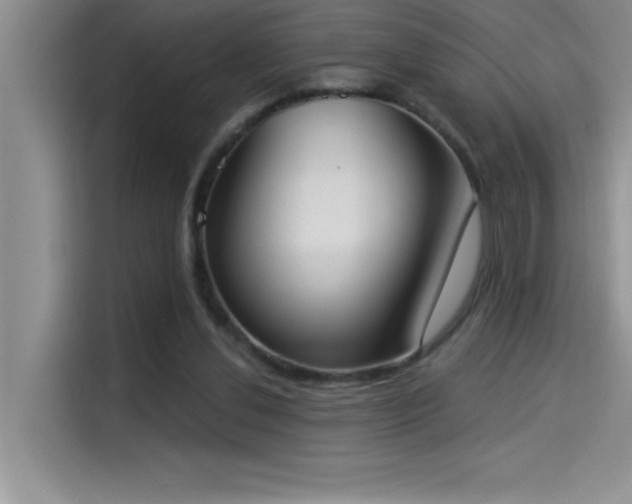 X0000114550252200910191417