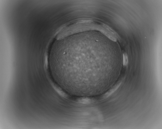 X0000114550253200910191417
