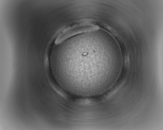 X0000114550254200910191417