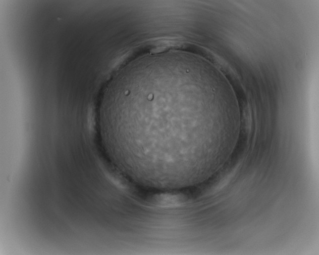 X0000114550255200910191417