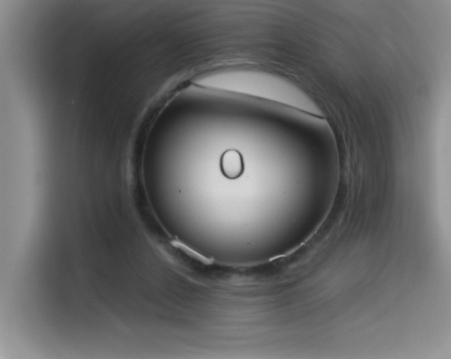 X0000114550256200910191417
