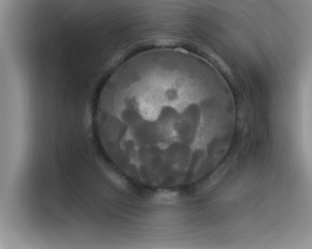 X0000114550257200910191417