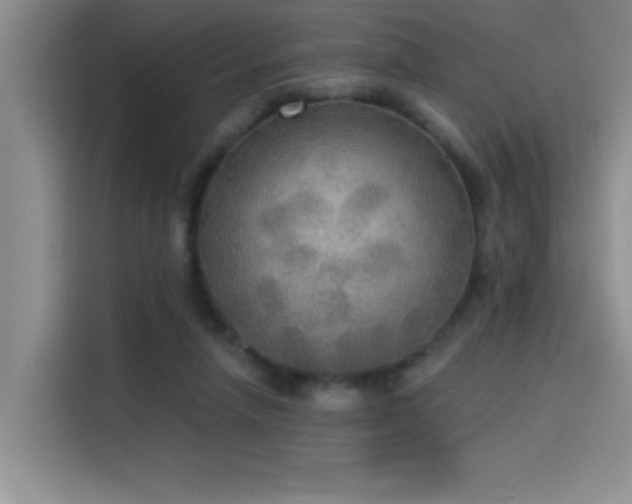 X0000114550258200910191417