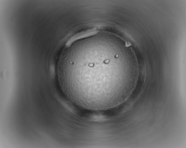 X0000114550262200910191417