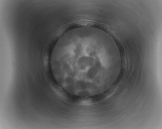 X0000114550263200910191417