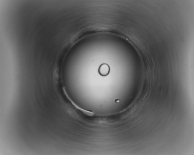 X0000114550264200910191417