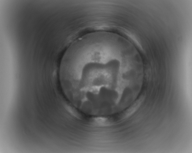 X0000114550265200910191417